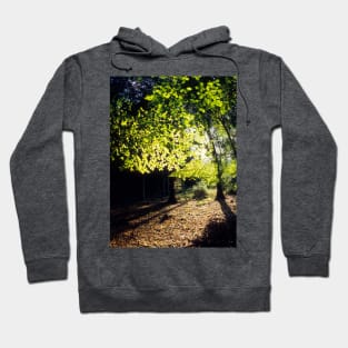 Spring Trees Hoodie